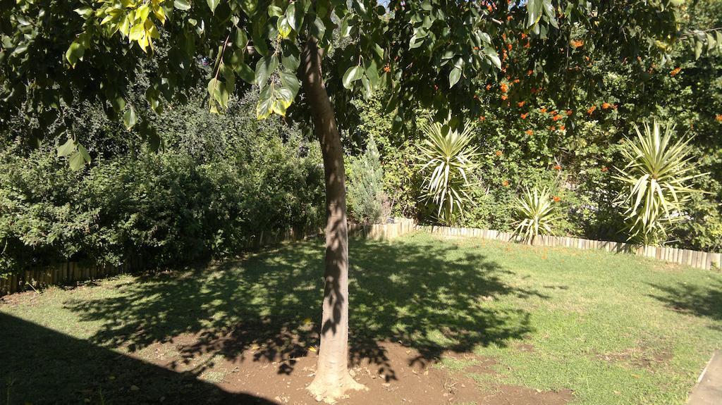 B&B On Church Oudtshoorn Esterno foto